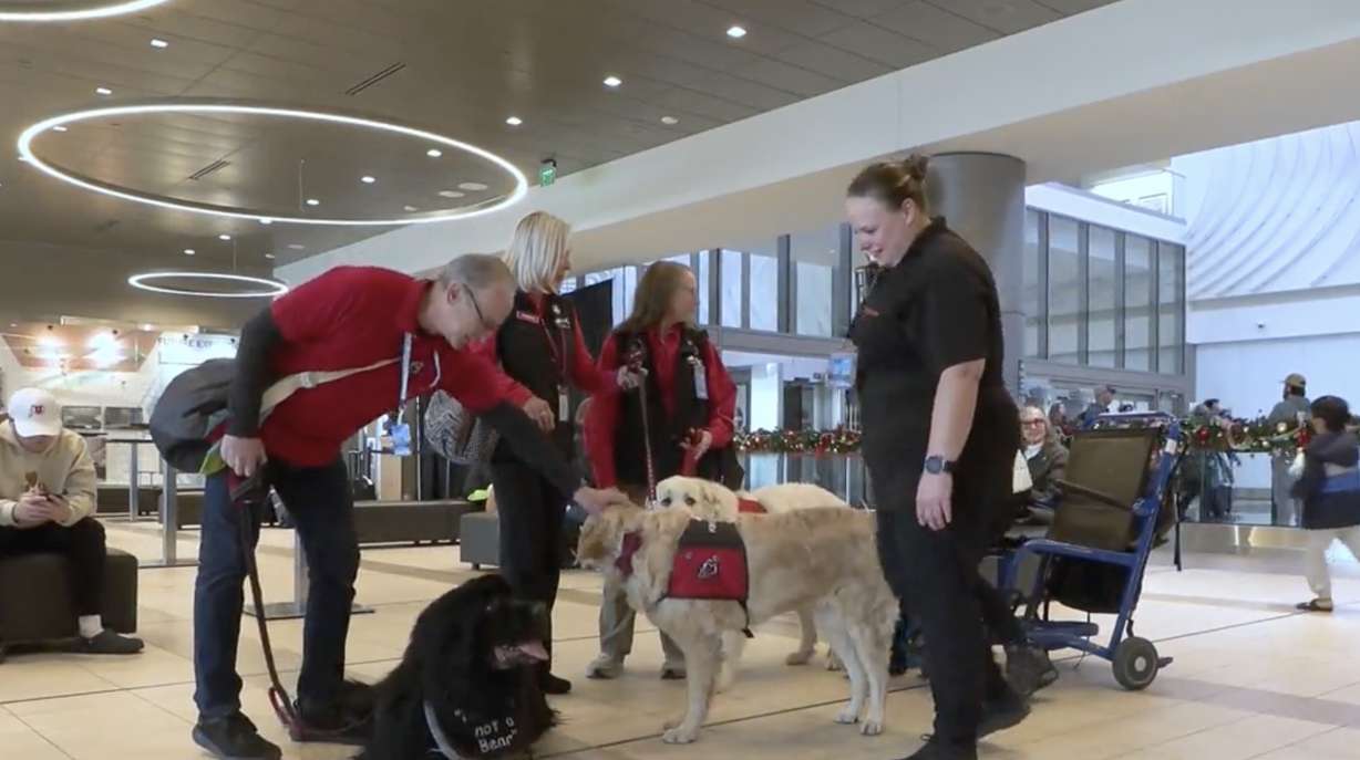 Intermountain Therapy Animals' dogs provide relief for people in stressful places like airports during the holidays.