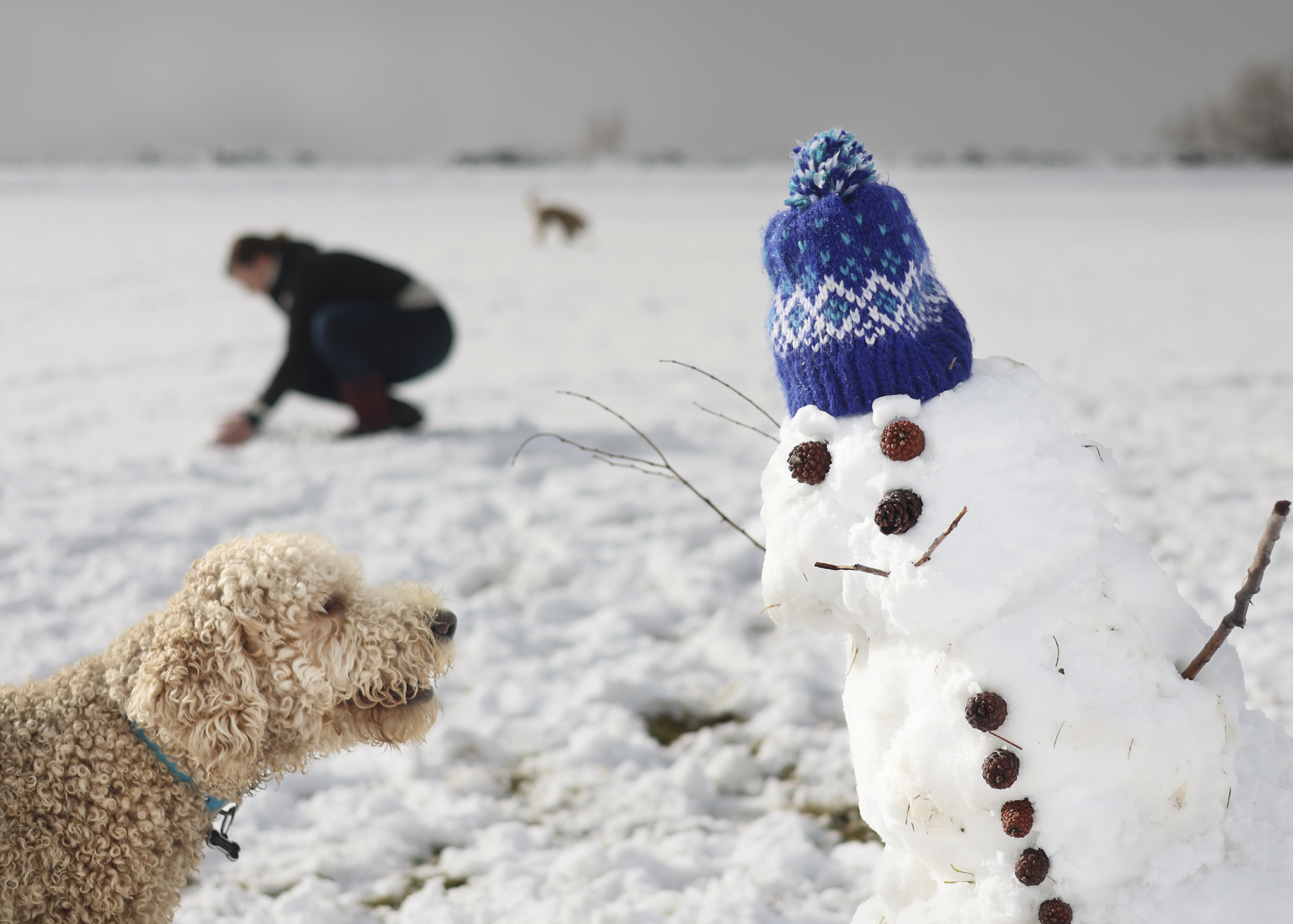 The Preza family dog, Chase, examines their snowman at 11th Avenue Park in Salt Lake City on Wednesday.