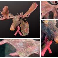 Sculptor creates impressive moose statue for breast cancer patients