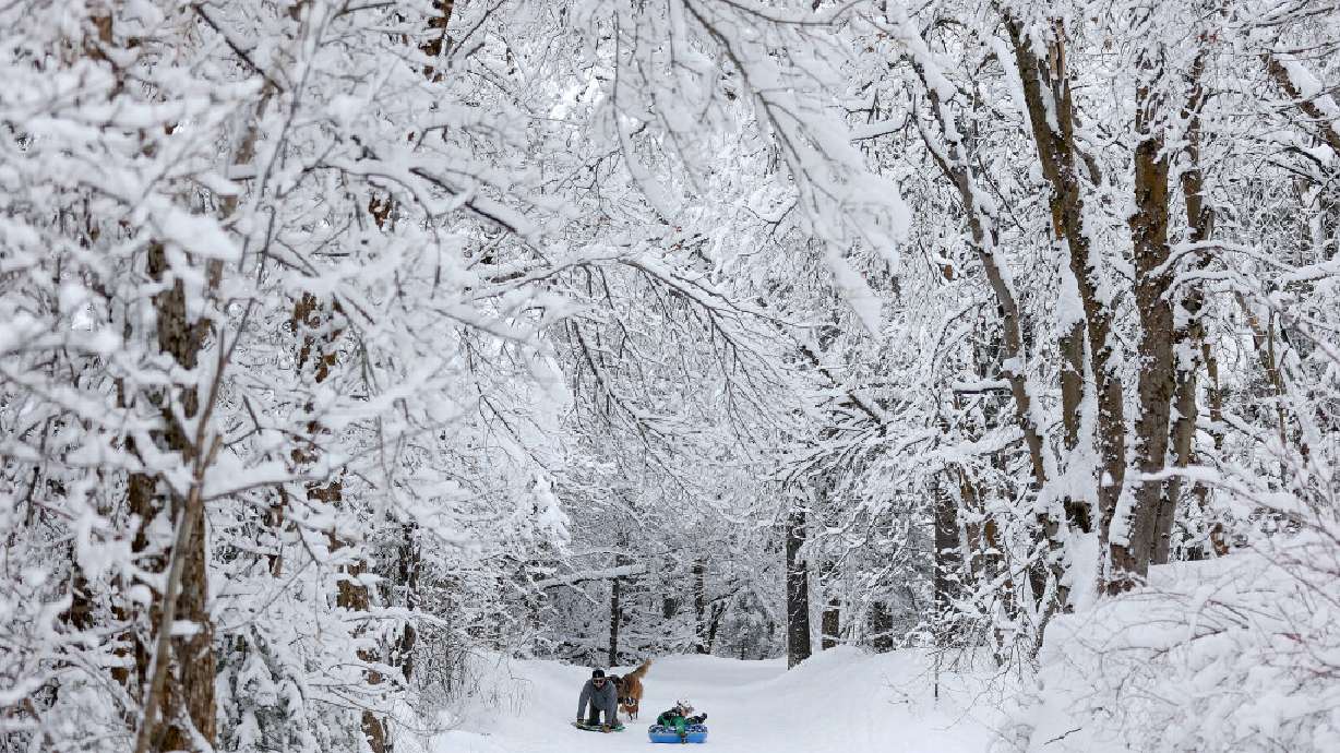 Nick Ermath and Peter Ermath go sledding with their dogs Potus and Daisy following them as snow blankets Millcreek Canyon on Tuesday. An impressive final few days of 2022 and a nice start to 2023 greatly boosted the statewide Utah snowpack. Here's how it stacks up with previous years.
