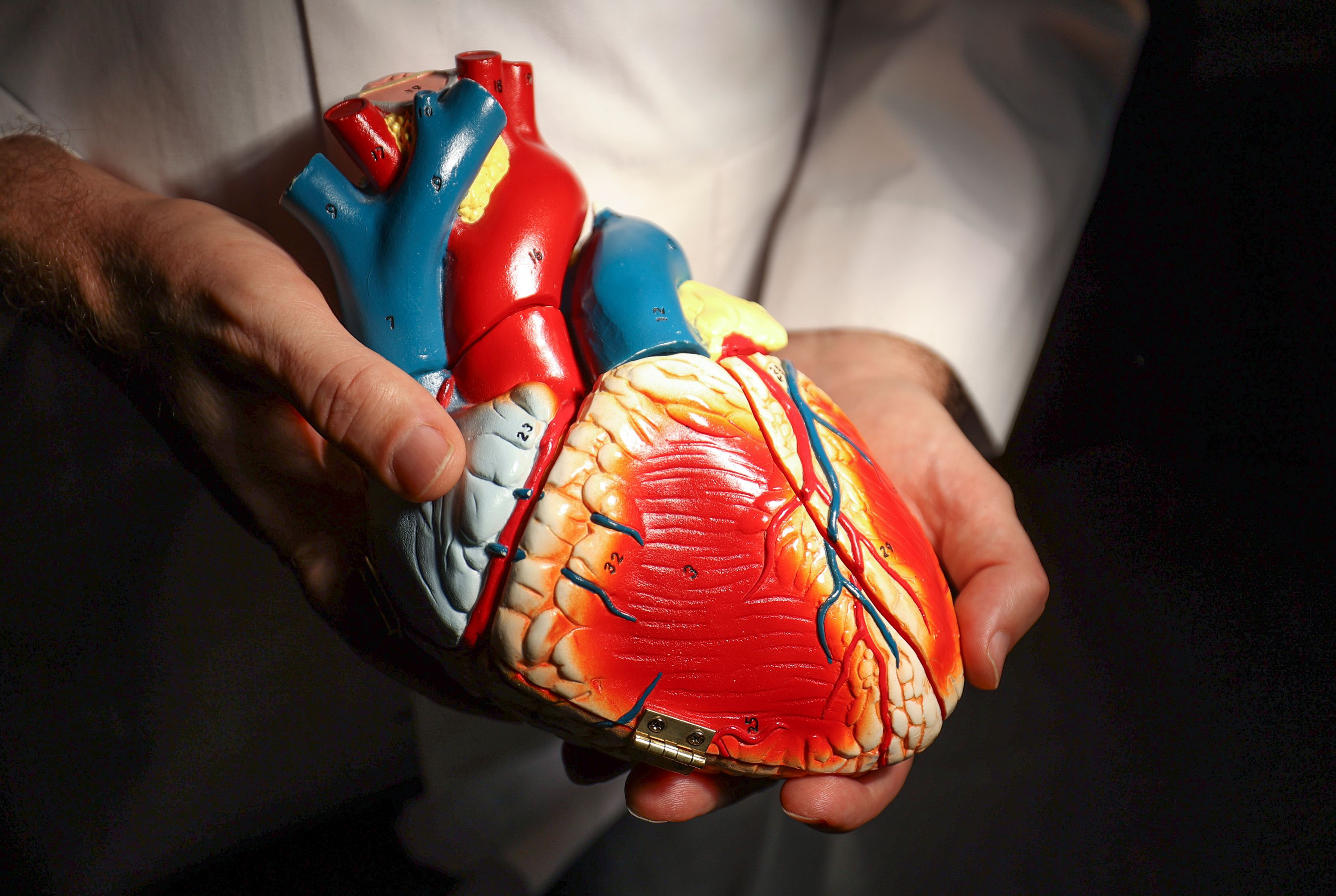 University of Utah Health cardiac electrophysiologist Dr. T. Jared Bunch poses for a portrait in the catheterization laboratory at the University of Utah Hospital in Salt Lake City on Wednesday.