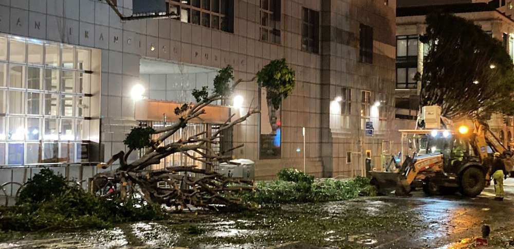 A crew works to remove fallen trees outside an entrance to the main public library in San Francisco, Thursday. Damaging winds and heavy rains in California have knocked out power to tens of thousands, caused flash flooding and contributed to the deaths of at least two people.