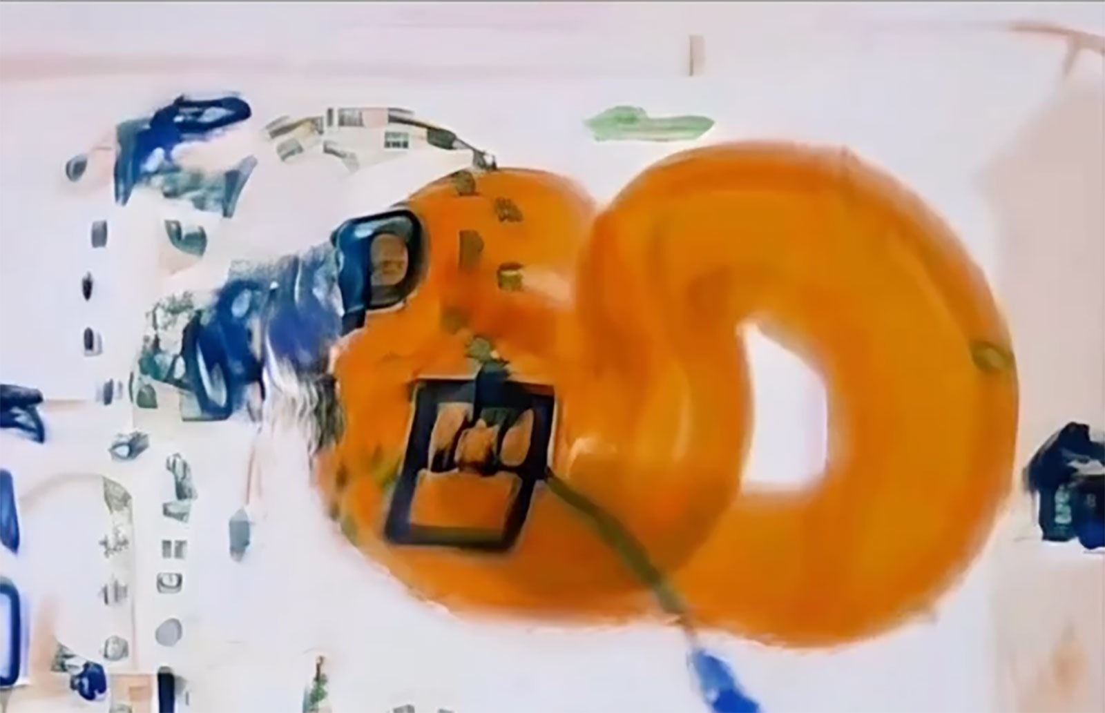 A boa constrictor is shown on X-ray in a bag. It's one of several animals detected recently by Transportation Security Administration at an airport.