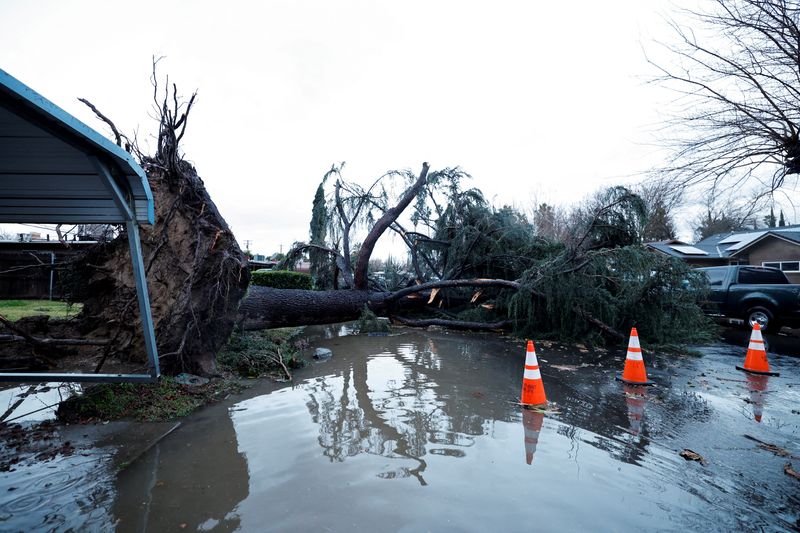 A tree blocks a roadway after it fell in high winds during a winter storm in West Sacramento, California, Sunday.