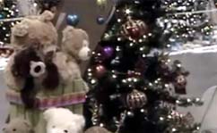 Festival of Trees Opens Today