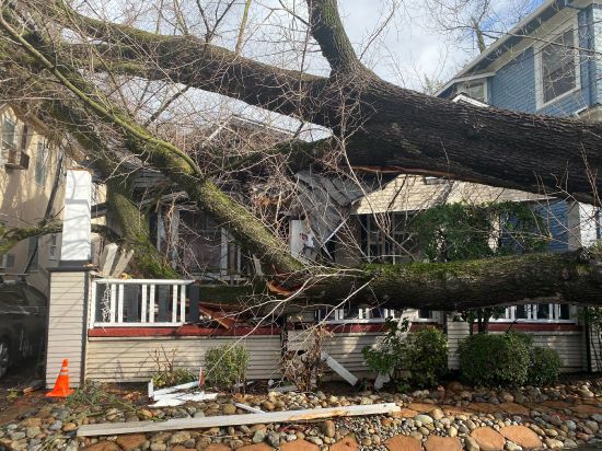 A tree collapsed and ripped up the sidewalk damaging a home in Sacramento, Calif., Sunday. The National Weather Service warned of a “relentless parade of atmospheric rivers" — storms that are long plumes of moisture stretching out into the Pacific capable of dropping staggering amounts of rain and snow.