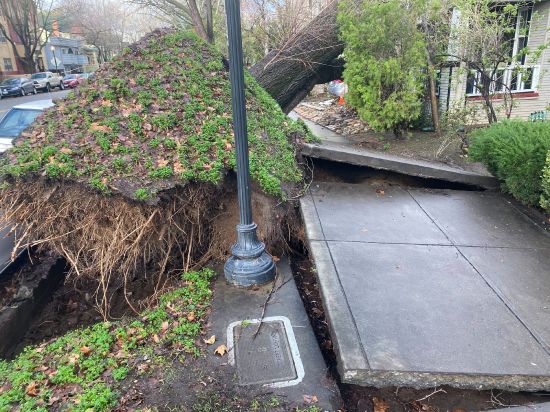 A tree collapsed and ripped up the sidewalk damaging a home in Sacramento, Calif., Sunday. The National Weather Service warned of a “relentless parade of atmospheric rivers" — storms that are long plumes of moisture stretching out into the Pacific capable of dropping staggering amounts of rain and snow.