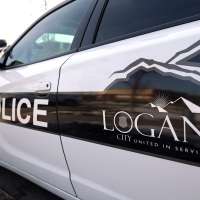 Woman pretended to be friend who looks like her to avoid theft charge, police say