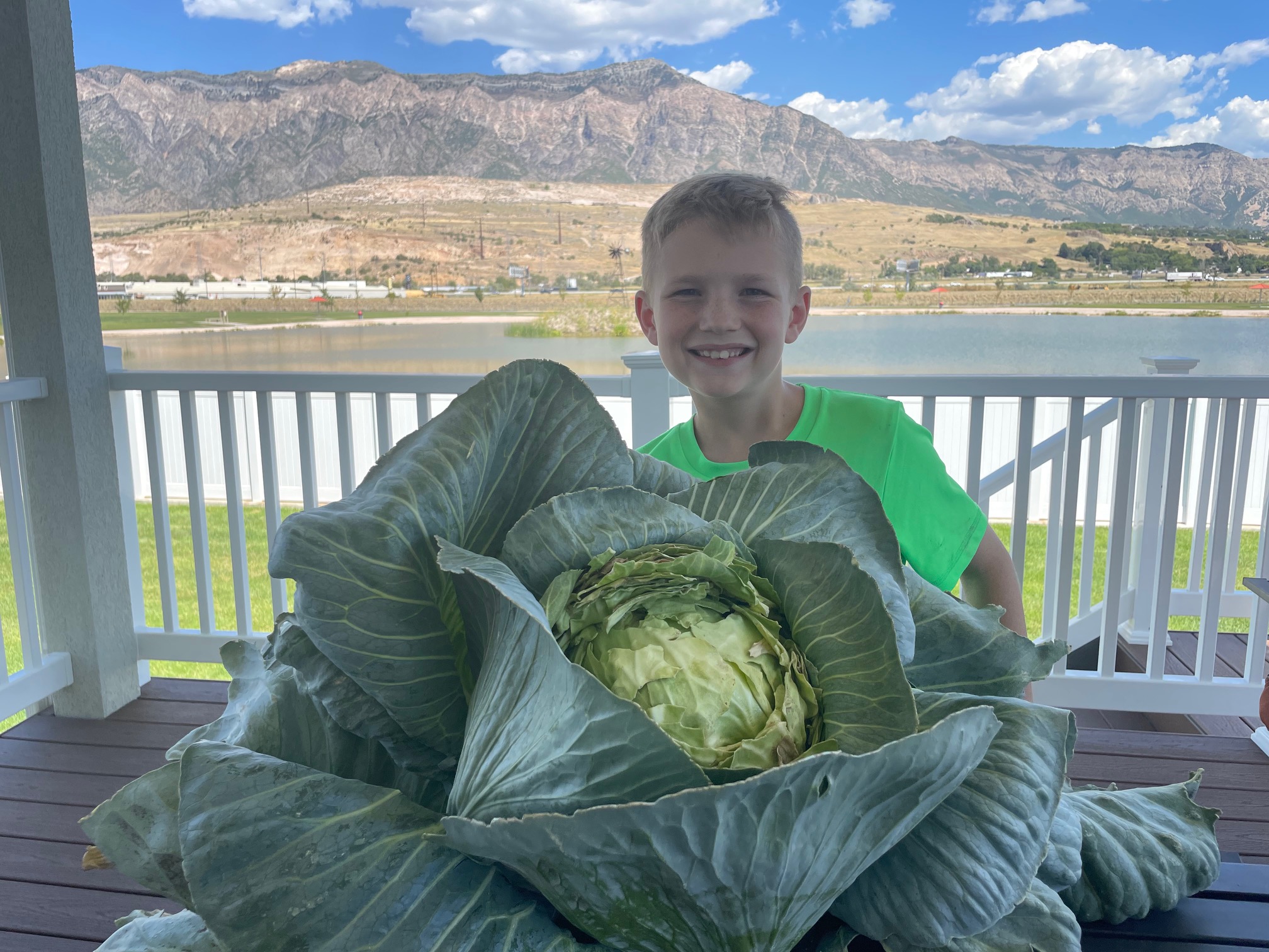 Levi Johns, a 10-year-old boy from Farr West, won a $1,000 scholarship for growing a massive cabbage plant in his backyard.