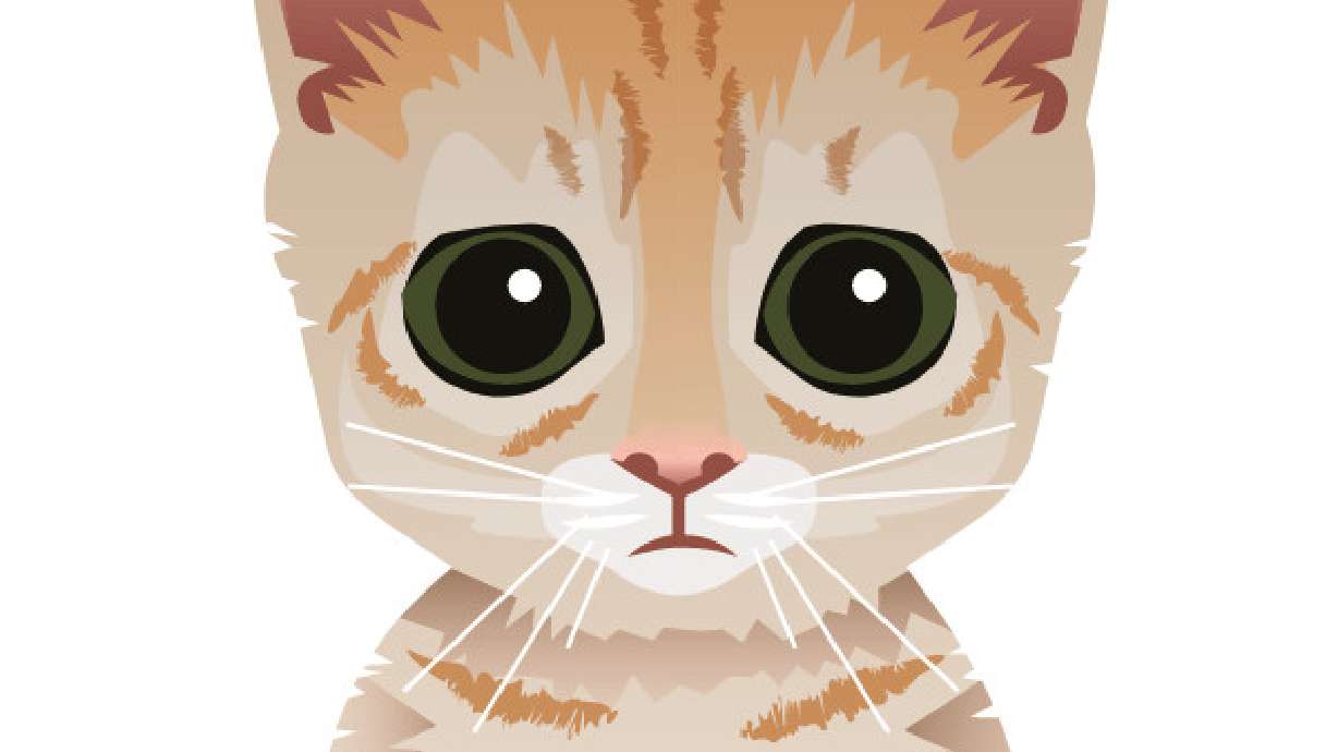 On Jan. 1, Chess.com released a series of new, chess playing bots with cat names and profiles. Mittens, pictured here, has drawn widespread interest thanks to her high level of play and snide-but-fun in-game commentary.