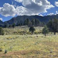 Utah to receive $25.2M to help reduce wildfire risks in Wasatch, Pine Valley regions