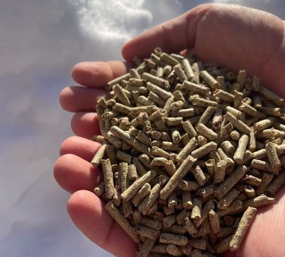 A photo of the "specially formulated" pellets laid out by biologists and volunteers in parts of Rich and Summit counties on Friday.