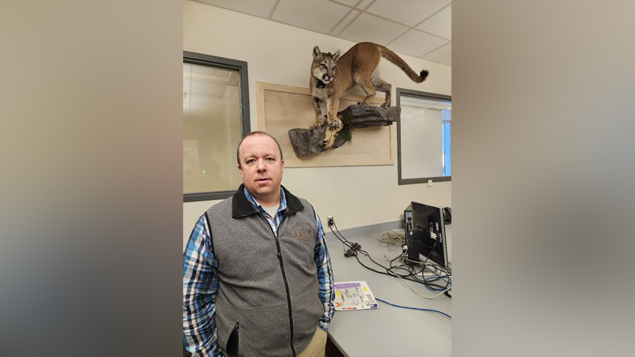 Randy Larsen, professor of plant and wildlife sciences at BYU, stands in front of a mount of F-39, the first mountain lion that was GPS collared as part of the BYU study.