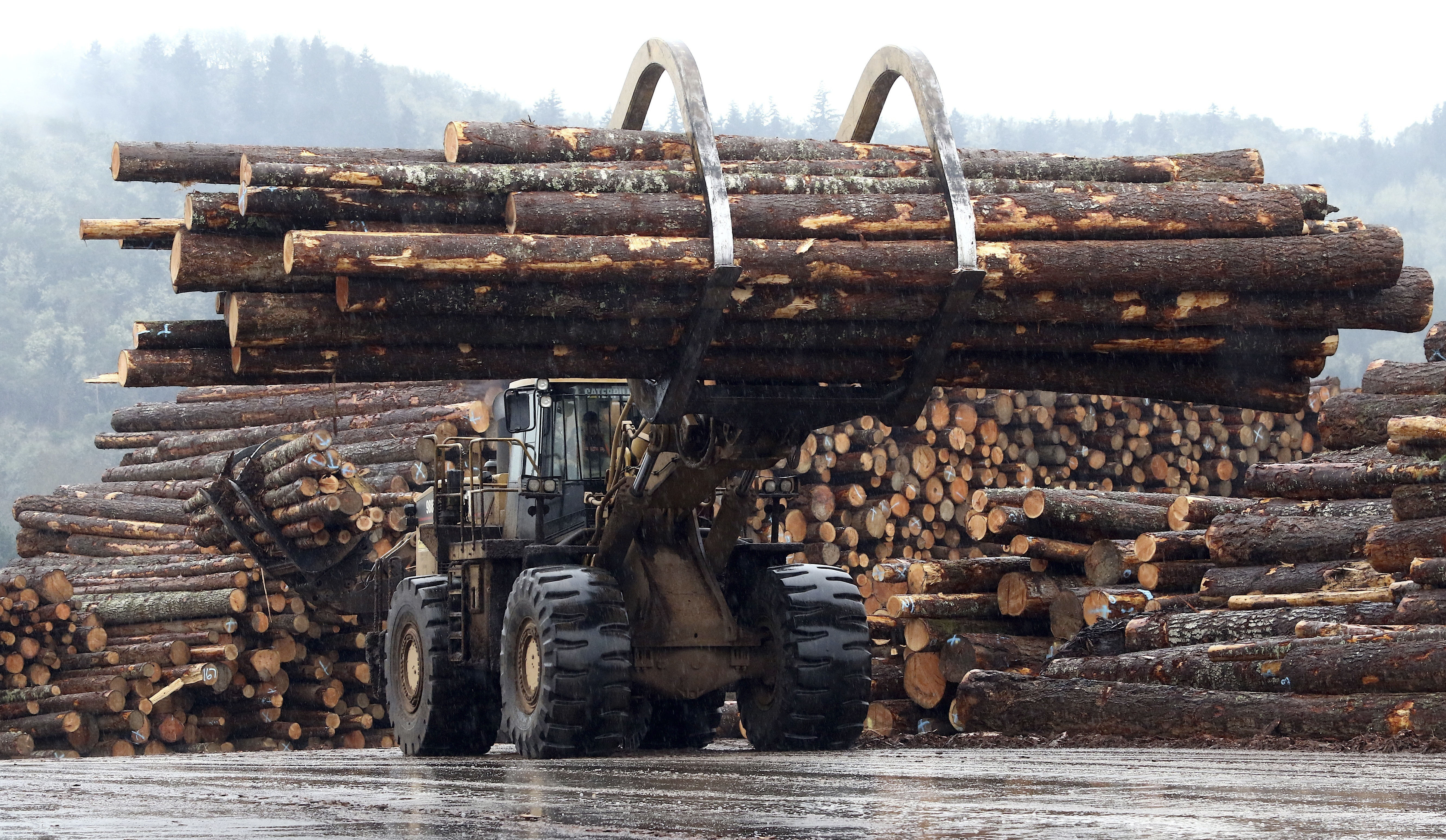 In this Feb. 26, 2015 photo, a front end log loader transports logs at Swanson Group Manufacturing in Roseburg, Ore. In Oregon, mass timber is increasingly being viewed as a construction material that could help the state build more affordable homes.