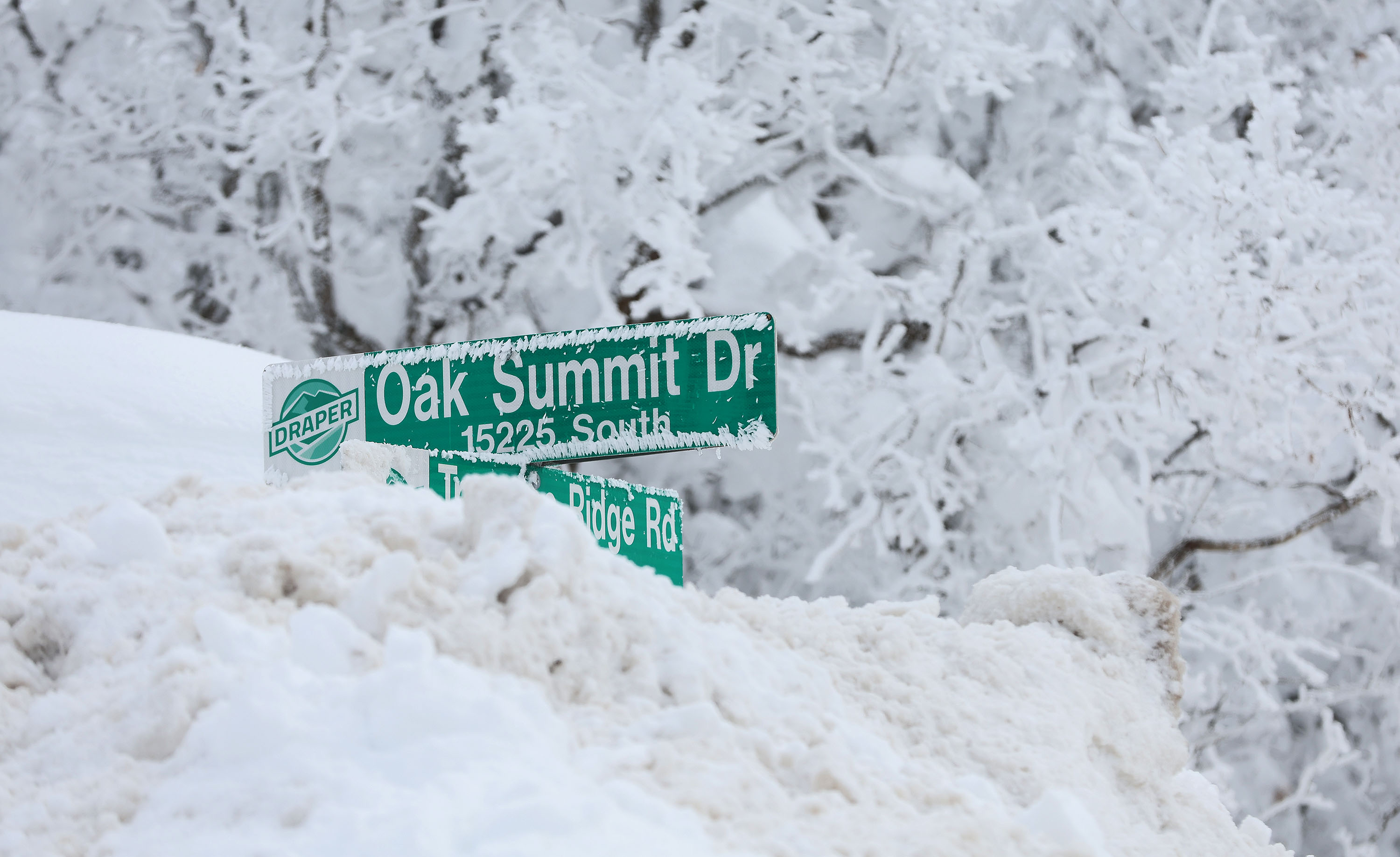 Snow partially covers the street signs in Suncrest in Draper on Jan. 18. A cold front passing through Utah brings another winter storm to the valleys and mountains.