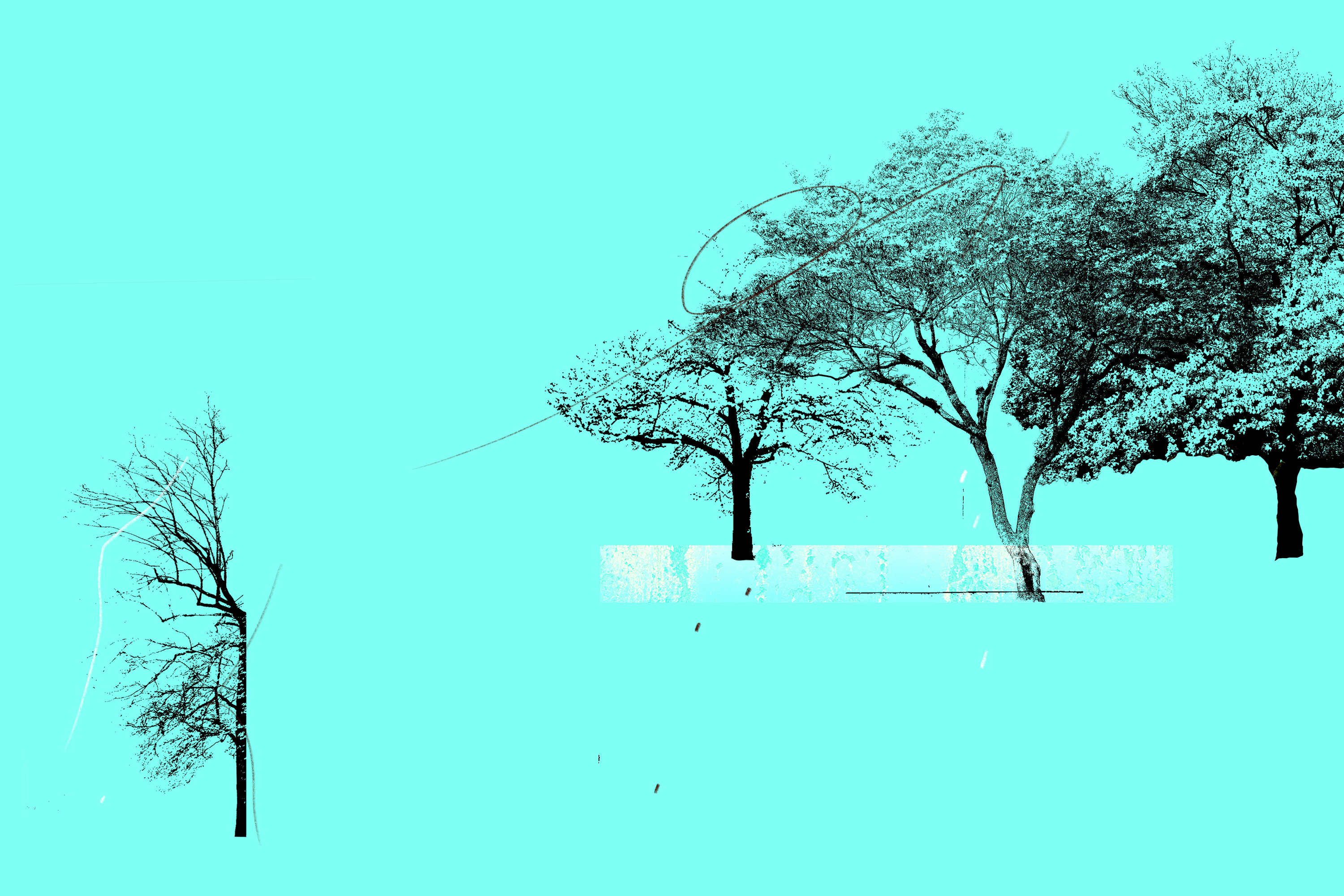 'She knows me least' — 5 years after 'Educated,' Tara Westover's family yearns for reconciliation. Is it possible?