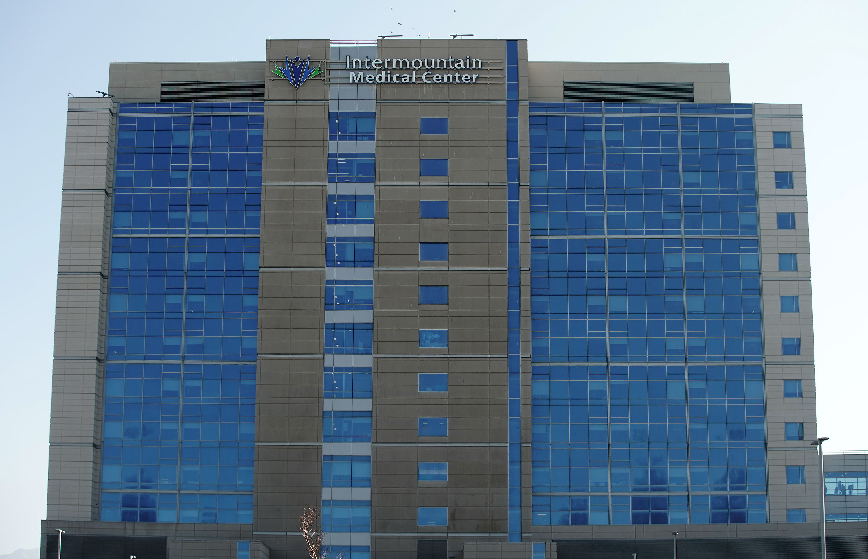 Intermountain Health announced on Tuesday that it broke its record for adult transplants in 2022, reaching 300 organ donations.