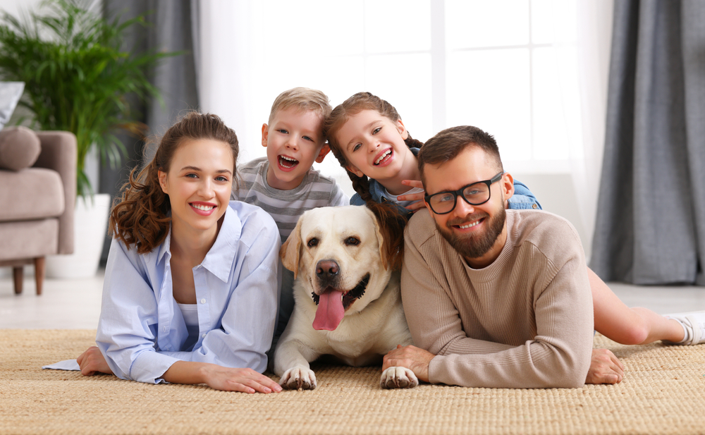 Love dogs? Here are Utah's most popular breeds | KSL.com