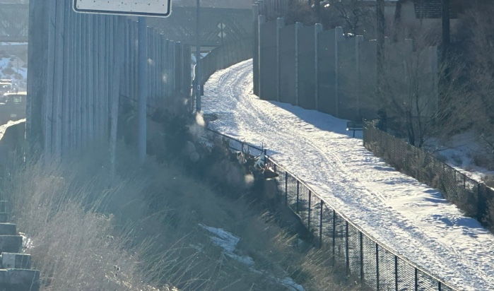 An elk herd wanders through a patch by I-80 in Salt Lake City Wednesday morning. The Utah Department of Transportation temporarily closed the freeway to help get the elk away from the freeway. 