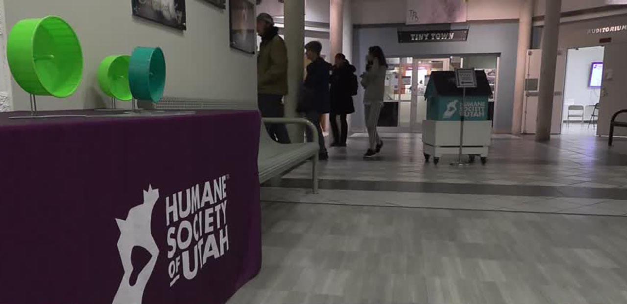 People visit the Humane Society of Utah in Murray on Feb. 1. A Salt Lake woman is facing a criminal charge accusing her of allowing her recently adopted dog to starve to death.