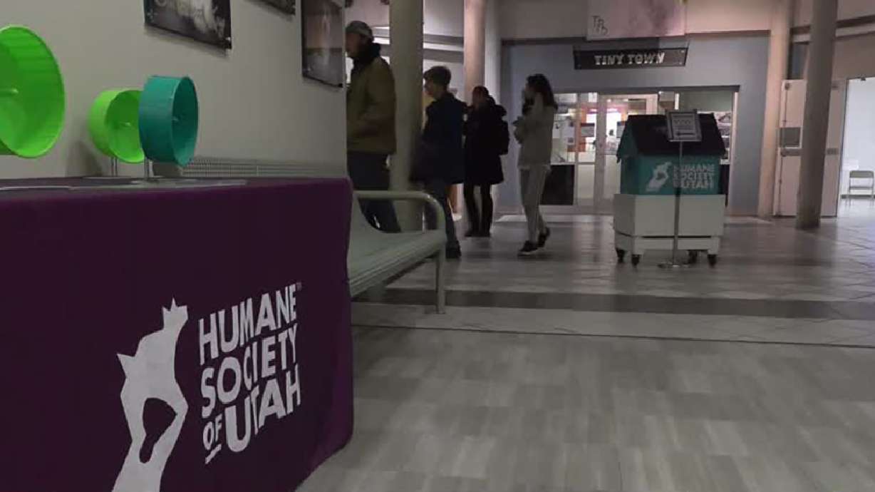 People visit the Humane Society of Utah in Murray on Feb. 1. A Salt Lake woman is facing a criminal charge accusing her of allowing her recently adopted dog to starve to death.