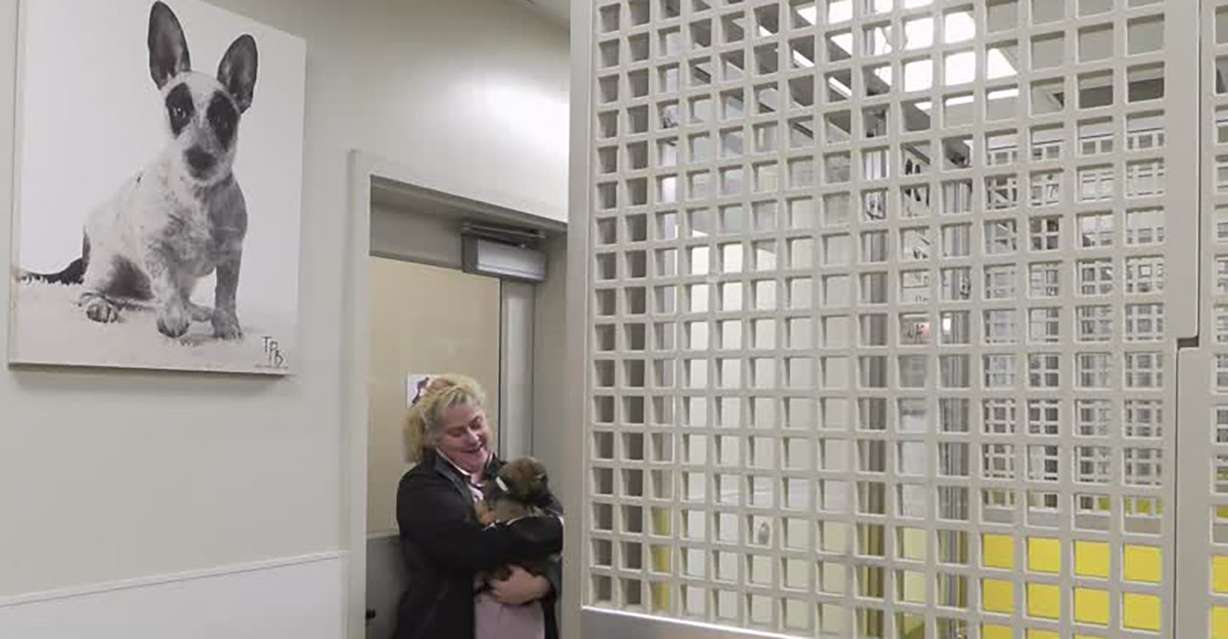 Katie Knighton holds 8-week-old Hazelnut at The Humane Society of Utah in Murray, Wednesday.
