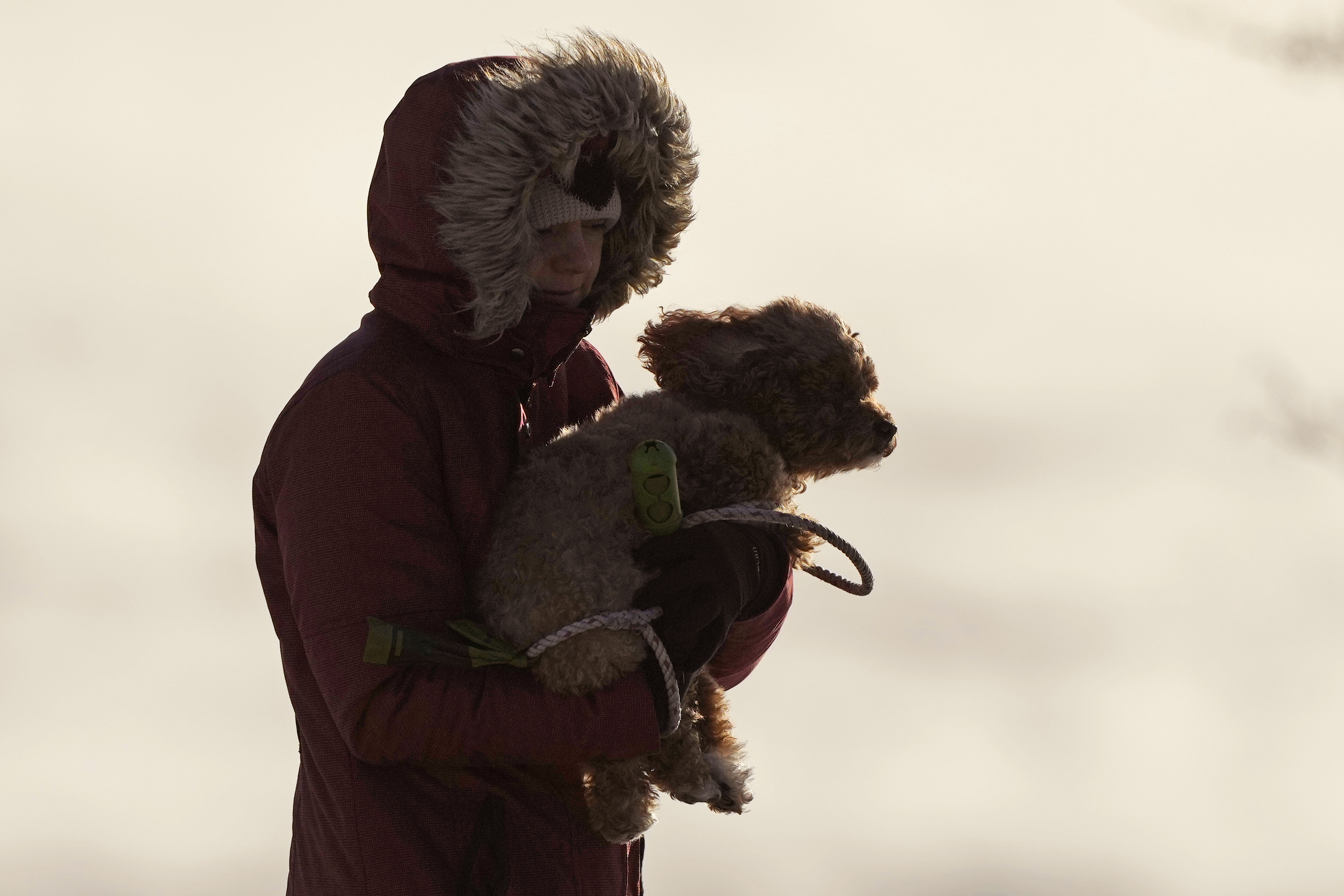 A woman carries her dog in the bitter cold, Saturday, in Portland, Maine. The morning temperature was about -10 degrees Fahrenheit.