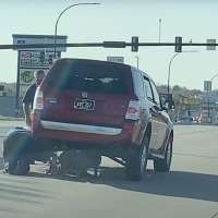 Have You Seen This? An amazing deer rescue