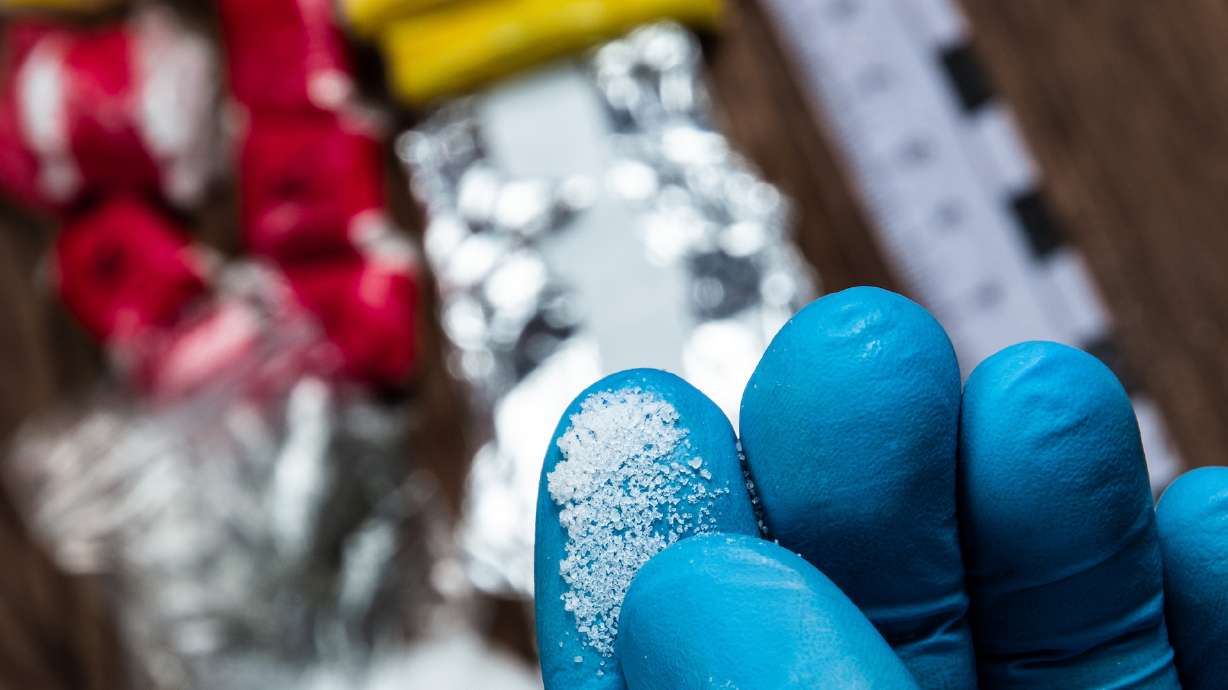 Utah County law enforcers served search warrants on four homes simultaneously last week, resulting in the arrests of seven people and the seizure of multiple pounds of meth and heroin.