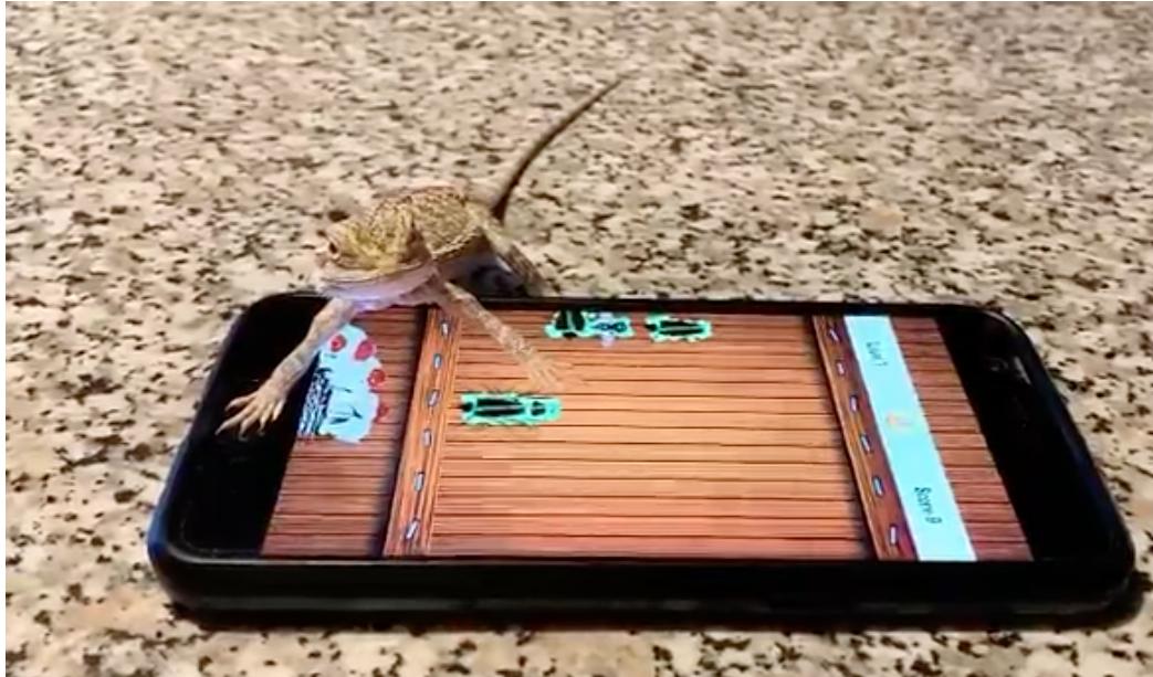 A bearded dragon plays a video game.