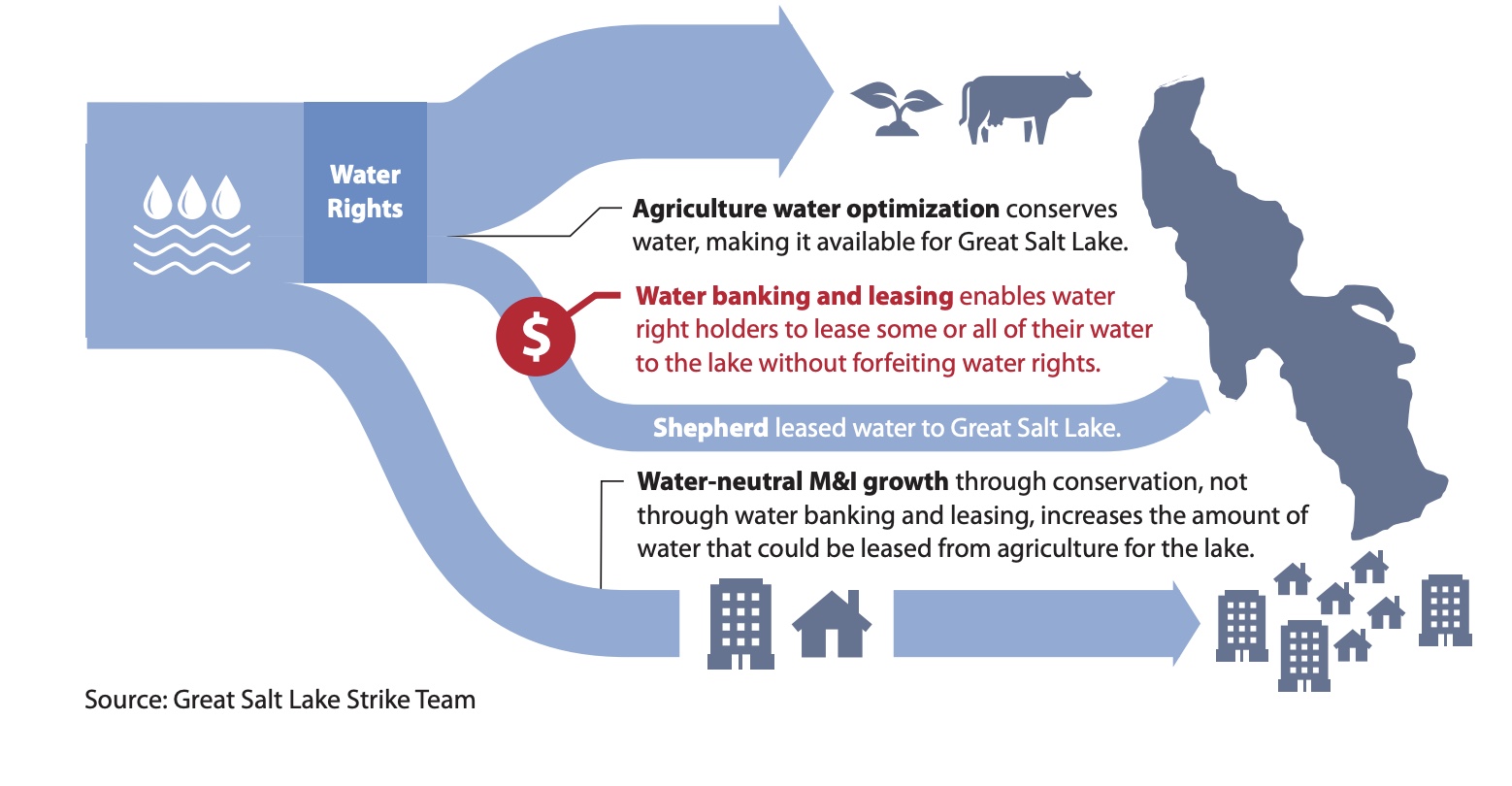 This graphic illustrates how water leasing and banking works.