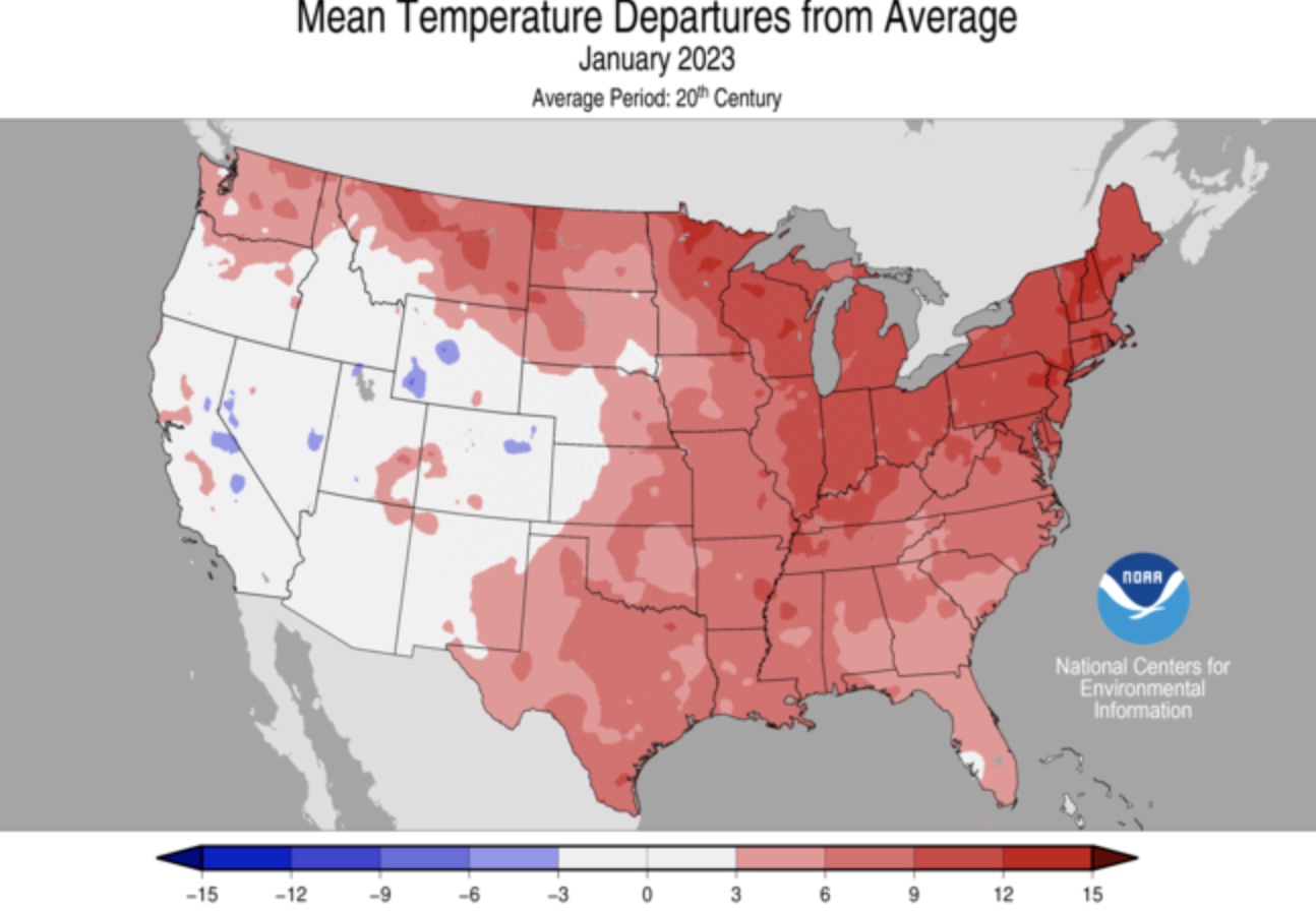 This map shows January 2023 average temperatures compared to the percentage of averages in the continental U.S. It was generally much warmer than normal in the East last month than it was in the West.