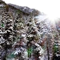 A 'big win': US to move Forest Service headquarters to Salt Lake City