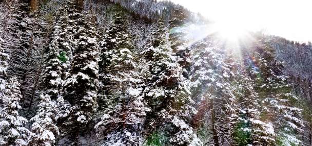 A 'big win': US to move Forest Service headquarters to Salt Lake City