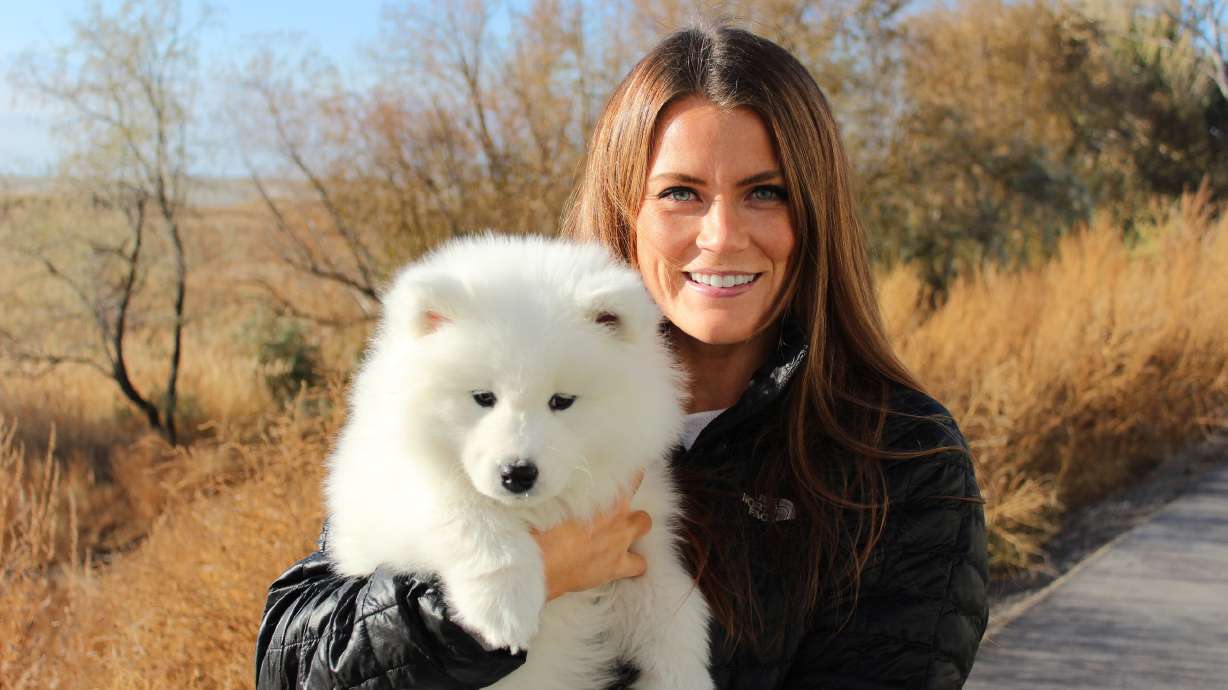 How I found the perfect pup on KSL Classifieds