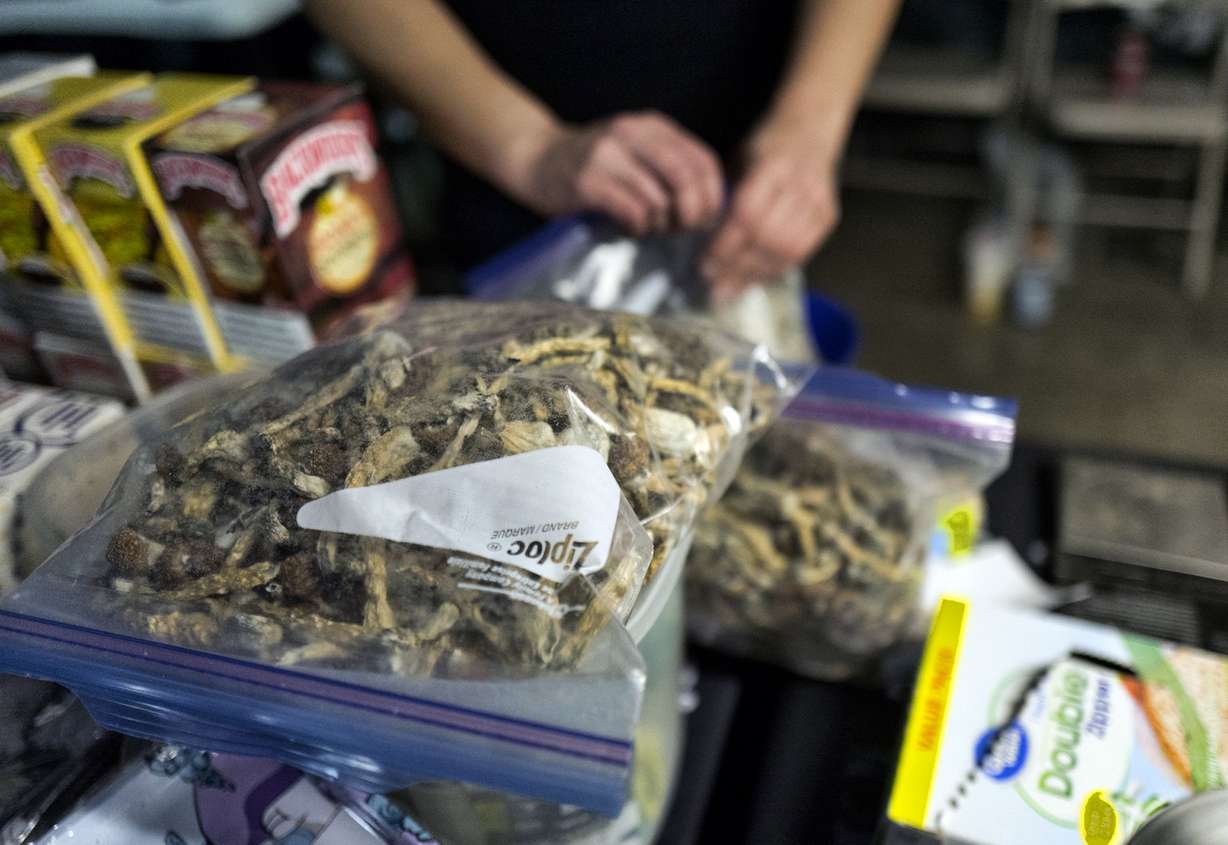 A vendor bags psilocybin mushrooms at a pop-up cannabis market in Los Angeles on May 6, 2019. Voters decide this week whether Denver will become the first U.S. city to decriminalize the use of psilocybin, the psychedelic substance in “magic mushrooms.”