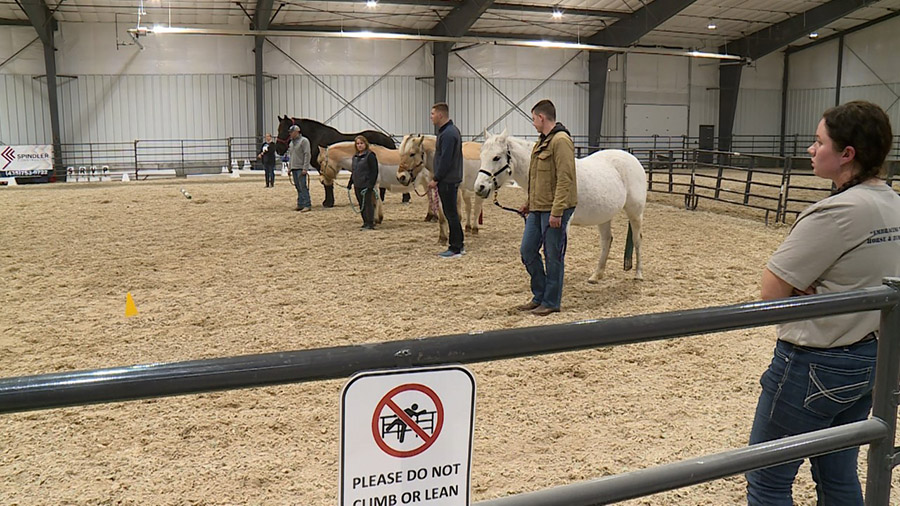 A group of veterans with their horses for the day.