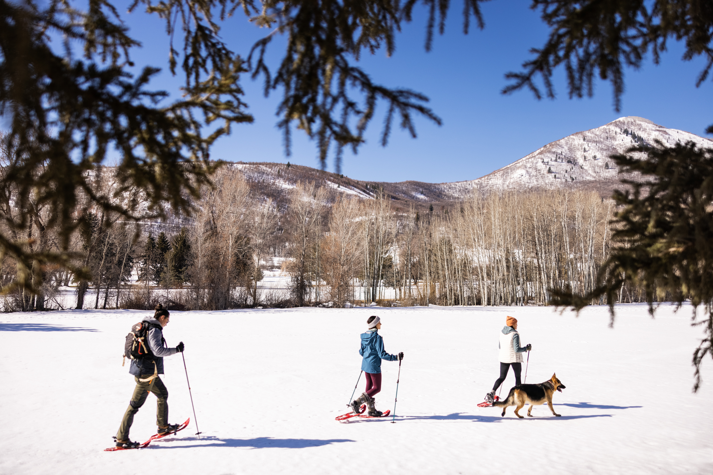 Snowshoeing near Midway.