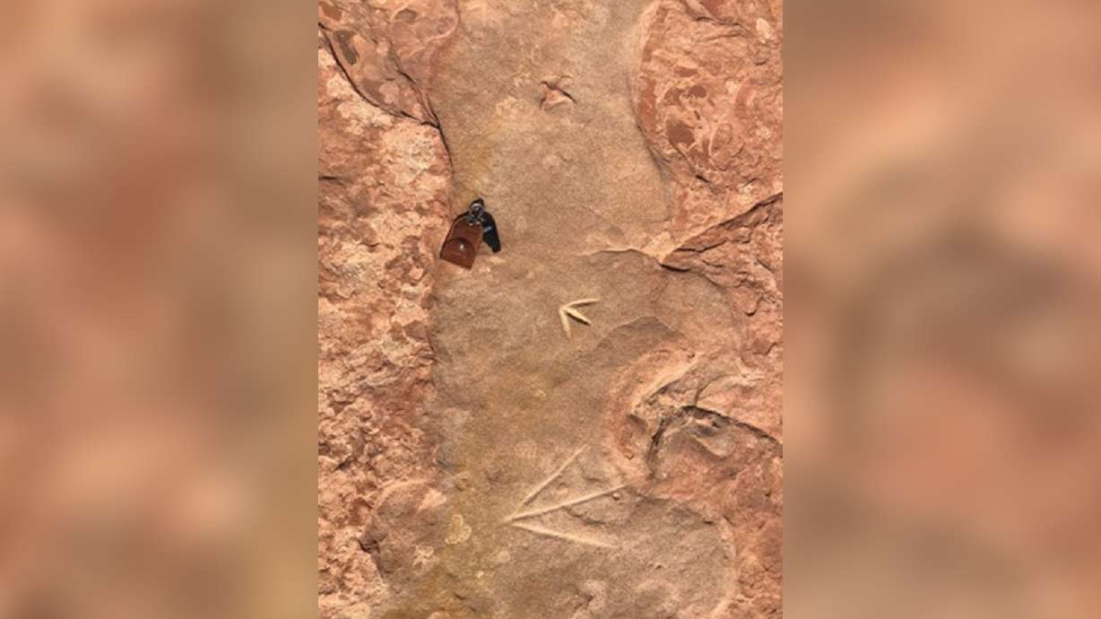 Some of the vandalism recently discovered at the Moccasin Mountain Dinosaur Tracksite near the Utah-Arizona border. Bureau of Land Management officials say someone carved two makeshift tracks into the sandstone by preserved dinosaur tracks that date back to about 180 million years ago.