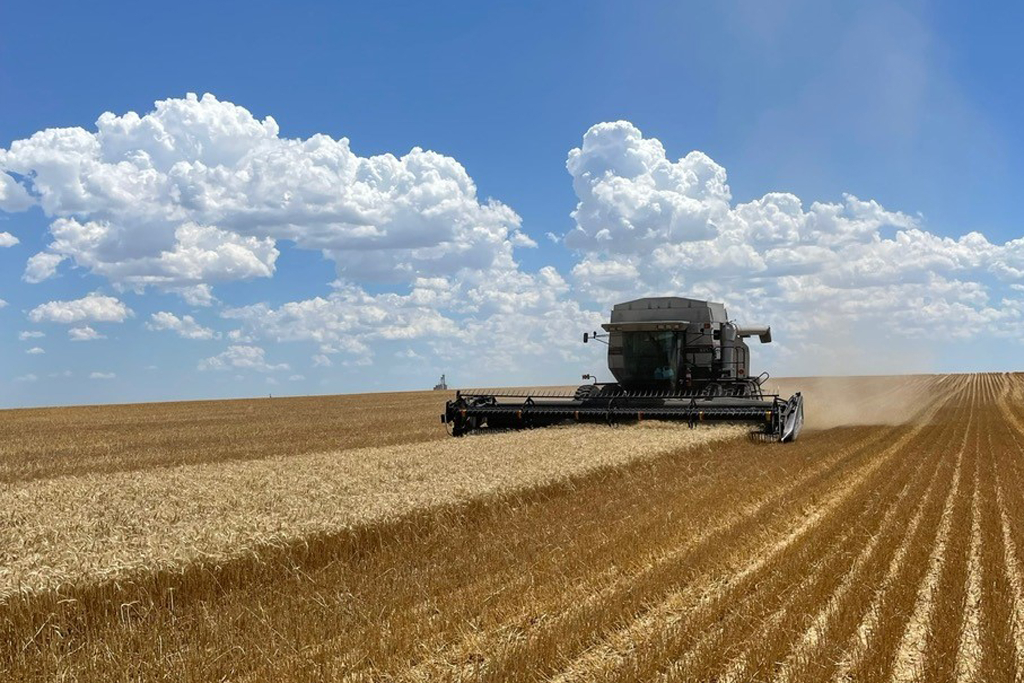 In this photo provided by Danny Wood, a combine harvests grain on his farm in northeastern Colorado in July 2022. Wood's combine has broken down, but the manufacturer doesn't allow him to make certain fixes, forcing Wood to wait precious days for service.