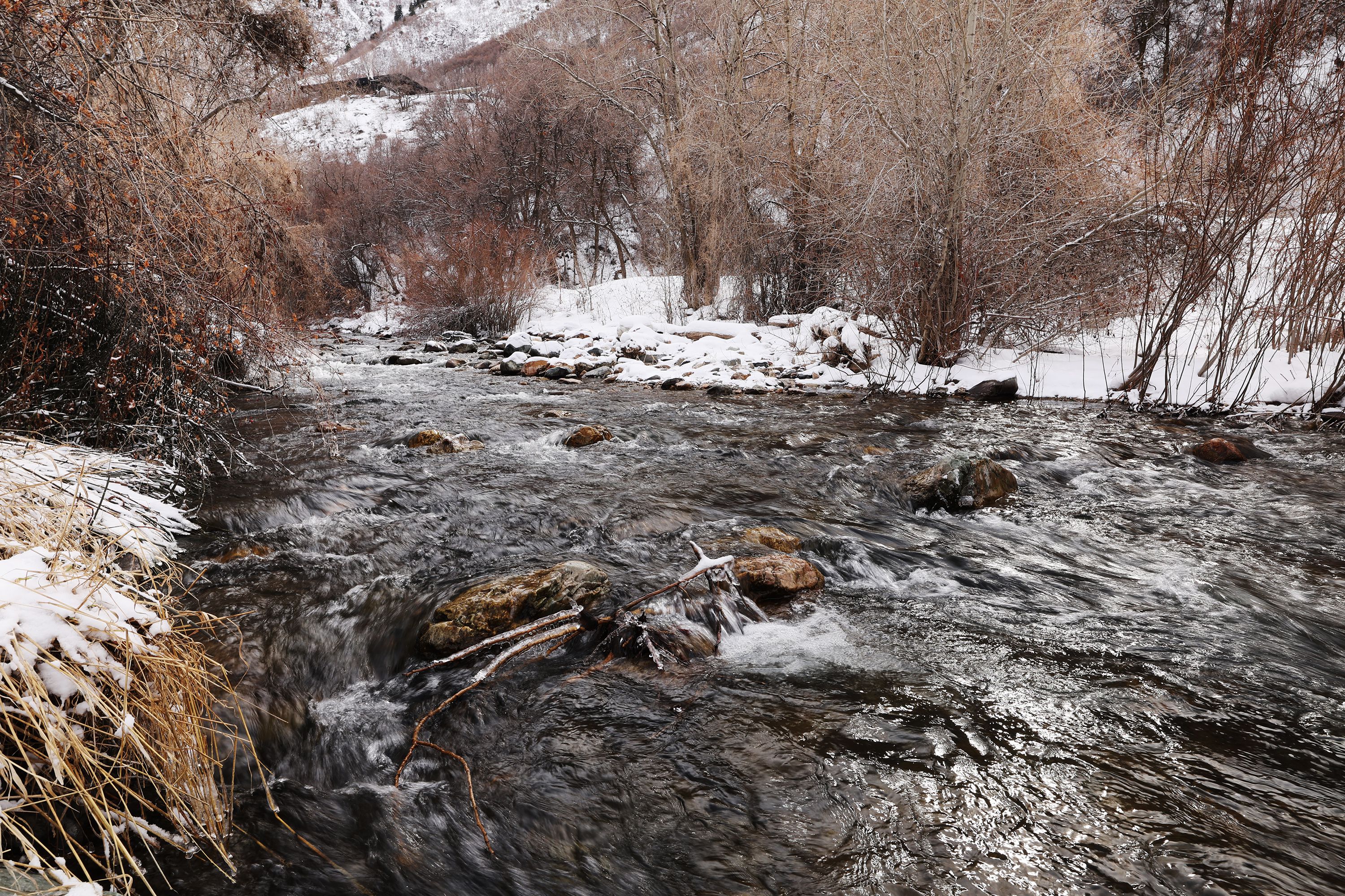 Water flows down Big Cottonwood Creek in Big Cottonwood Canyon near Cottonwood Heights on Tuesday. HB150 would address sudden impact natural disasters like a dam breach or earthquake when water is crucial for human survival and farmers and ranchers are likely to have their water rights sucked up first to meet that public safety need.