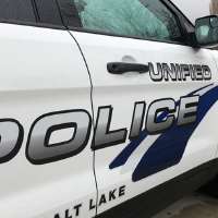 Person struck in a hit-and-run crash after trying to help cat in Millcreek has died