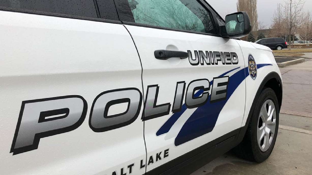 A person who was struck in a hit-and-run accident in Millcreek on Saturday morning has died.