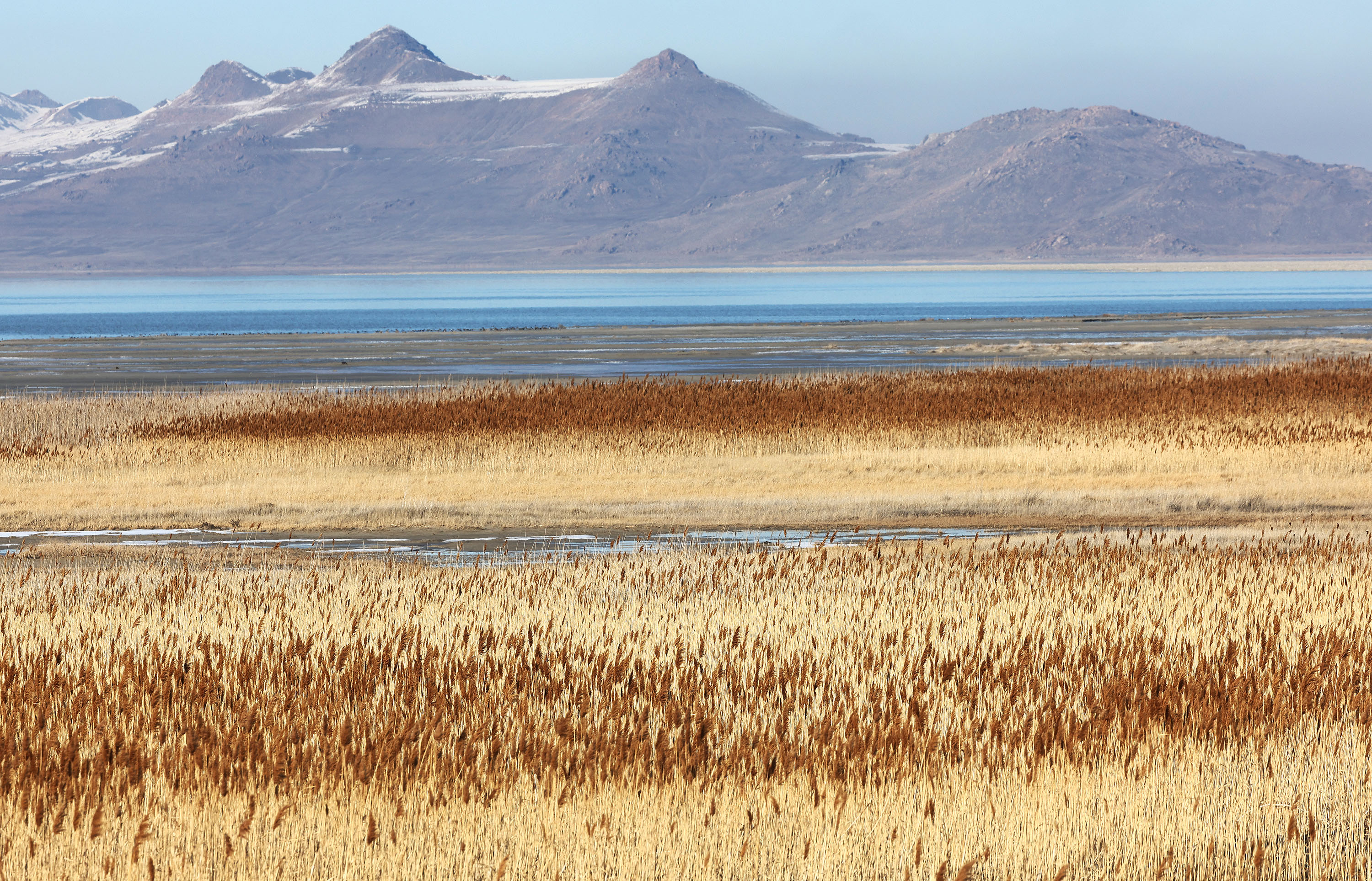 Antelope Island in the Great Salt Lake on Tuesday, Feb. 7. A proposed bill would set up a new commissioner who would oversee the efforts to get water into the Great Salt Lake.