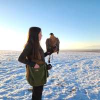 The ancient sport of falconry is alive and well in Utah