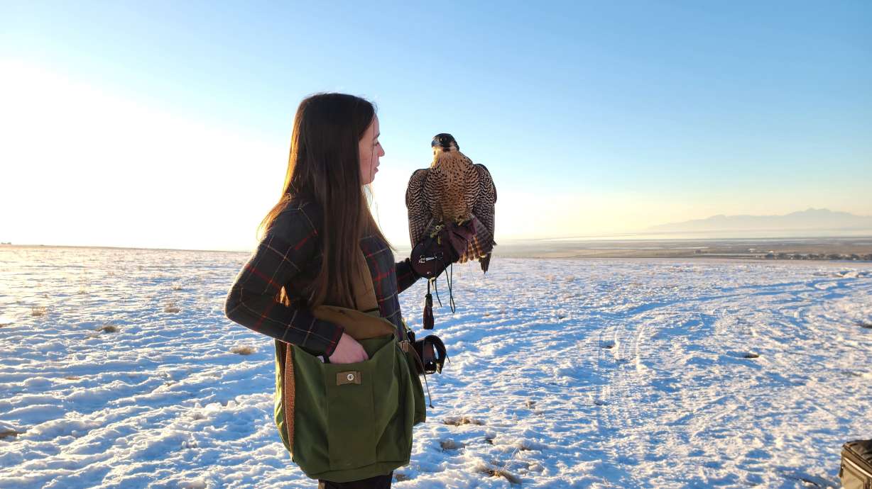 Krista Edwards with Sky, a female peregrine falcon. Humans have been training birds of prey to hunt with them for over 5,000 years — and around 375 falconers now call Utah home.