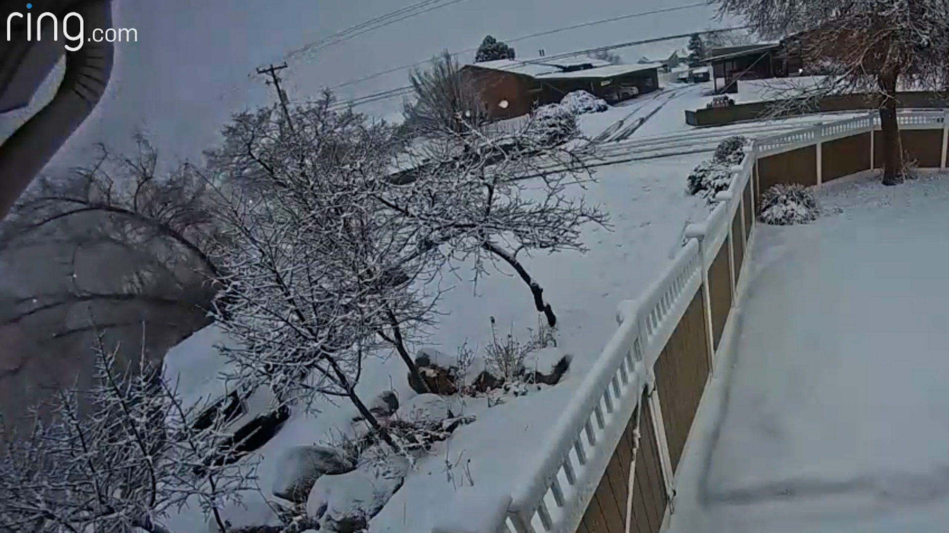 Doorbell video shows a tree snapping and falling in Layton Wednesday. It narrowly missed hitting a teenager.