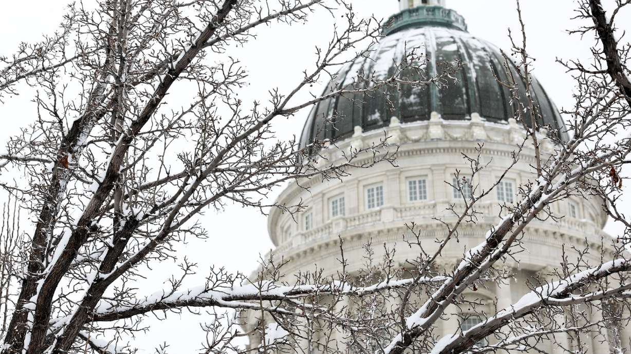 Senators voted down SB88, which would have allowed women who became pregnant after being raped to qualify for an abortion without reporting the rape to police.