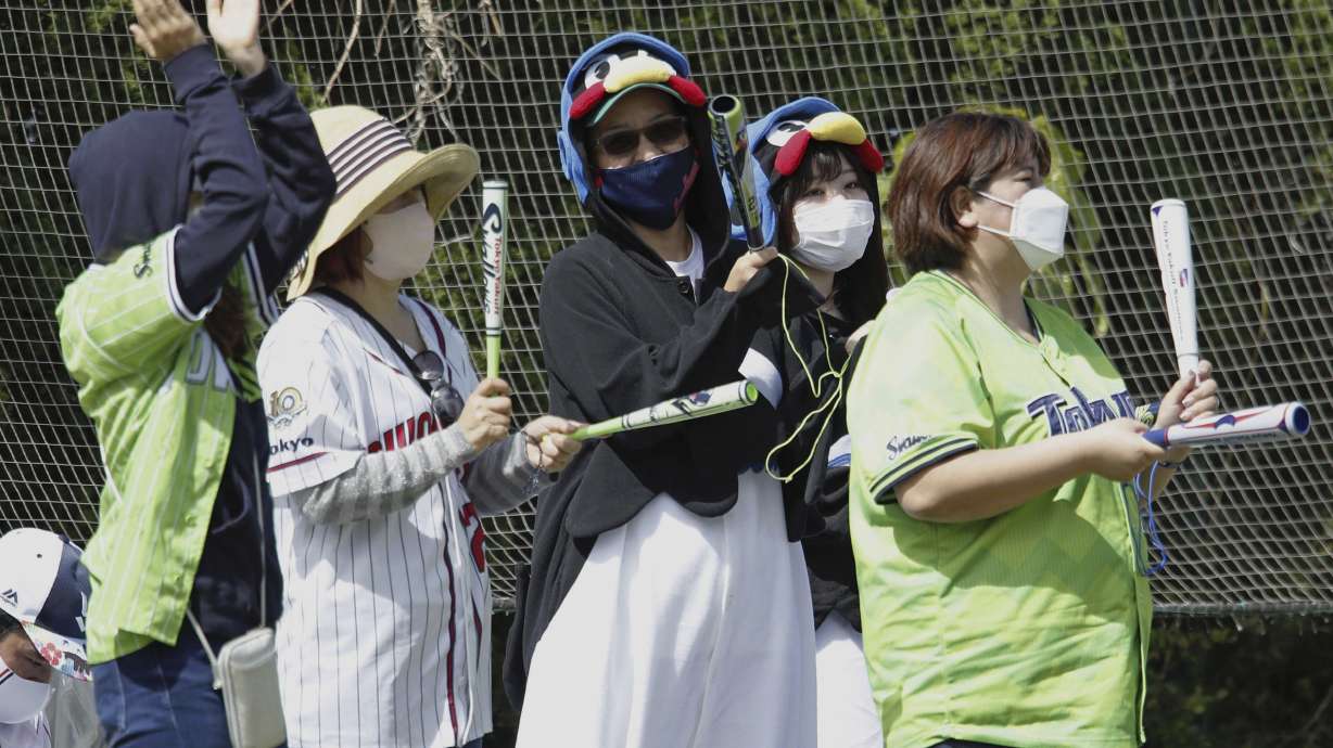 Fans for the Tokyo Yakult Swallows, a Japanese major league baseball team, cheer during the team's pre-season game against the Yomiuri Giants in Urasoe, Okinawa prefecture, Japan, Thursday, Feb. 23, 2023. Fans of the upcoming World Baseball Classic are going to see two versions, depending if the games are in the United States, Taiwan, or Japan.