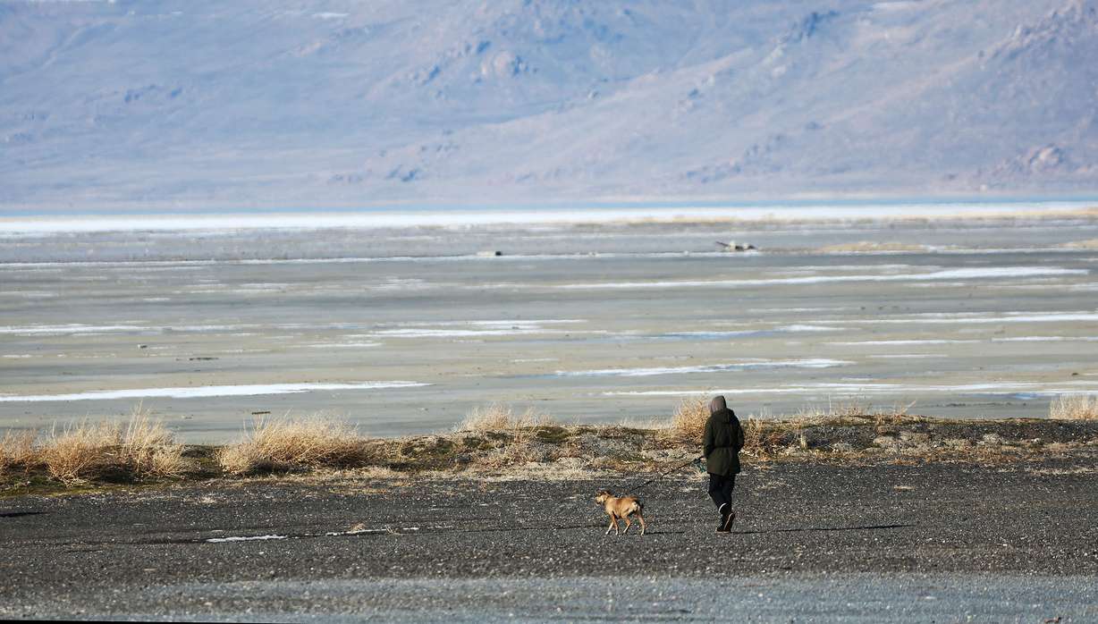 A person walks their dog near the Great Salt Lake on Feb. 7.